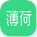 薄荷健康